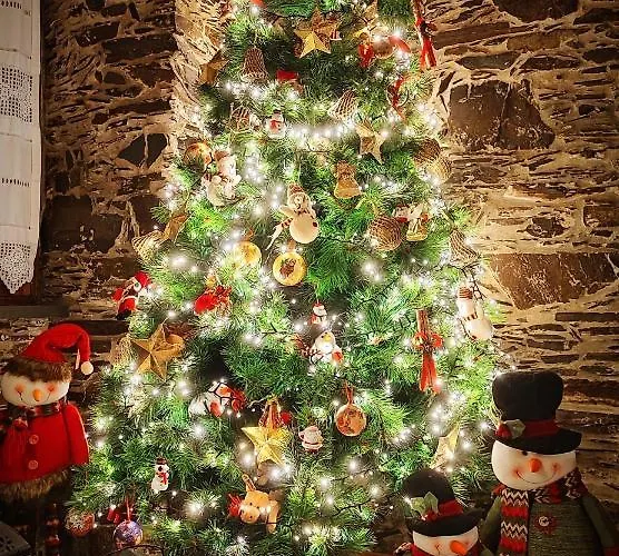 Chalet Talasnal Casa Do Cascao Lousã